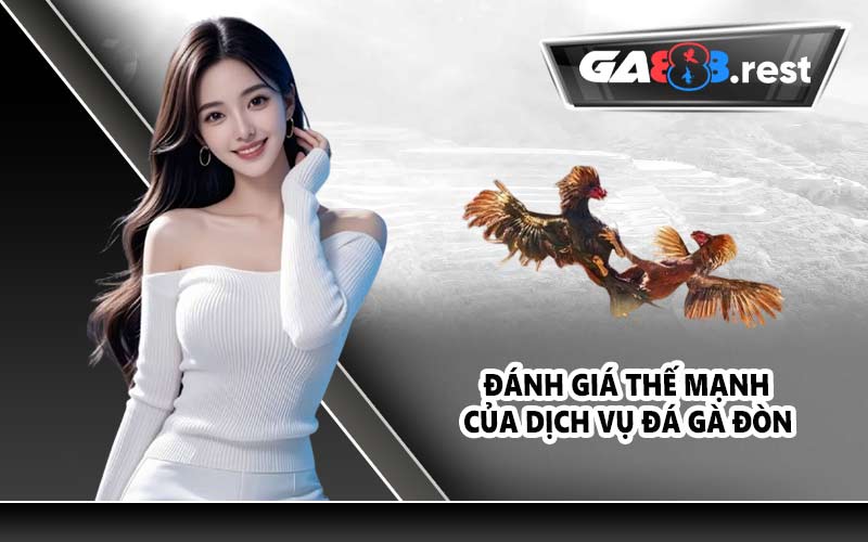 Đánh giá thế mạnh của dịch vụ đá gà đòn
